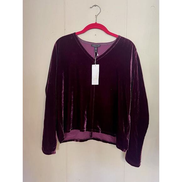 Eileen Fisher Boxy 90’s Dolman Sleeve Silk Velvet V Neck Top XXS NWT $278 - Picture 2 of 6